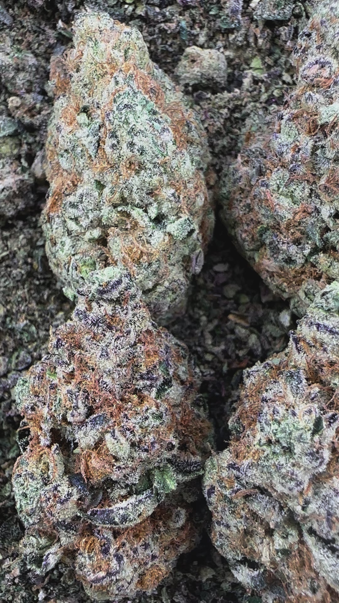 Pineapple Express from Wholesale